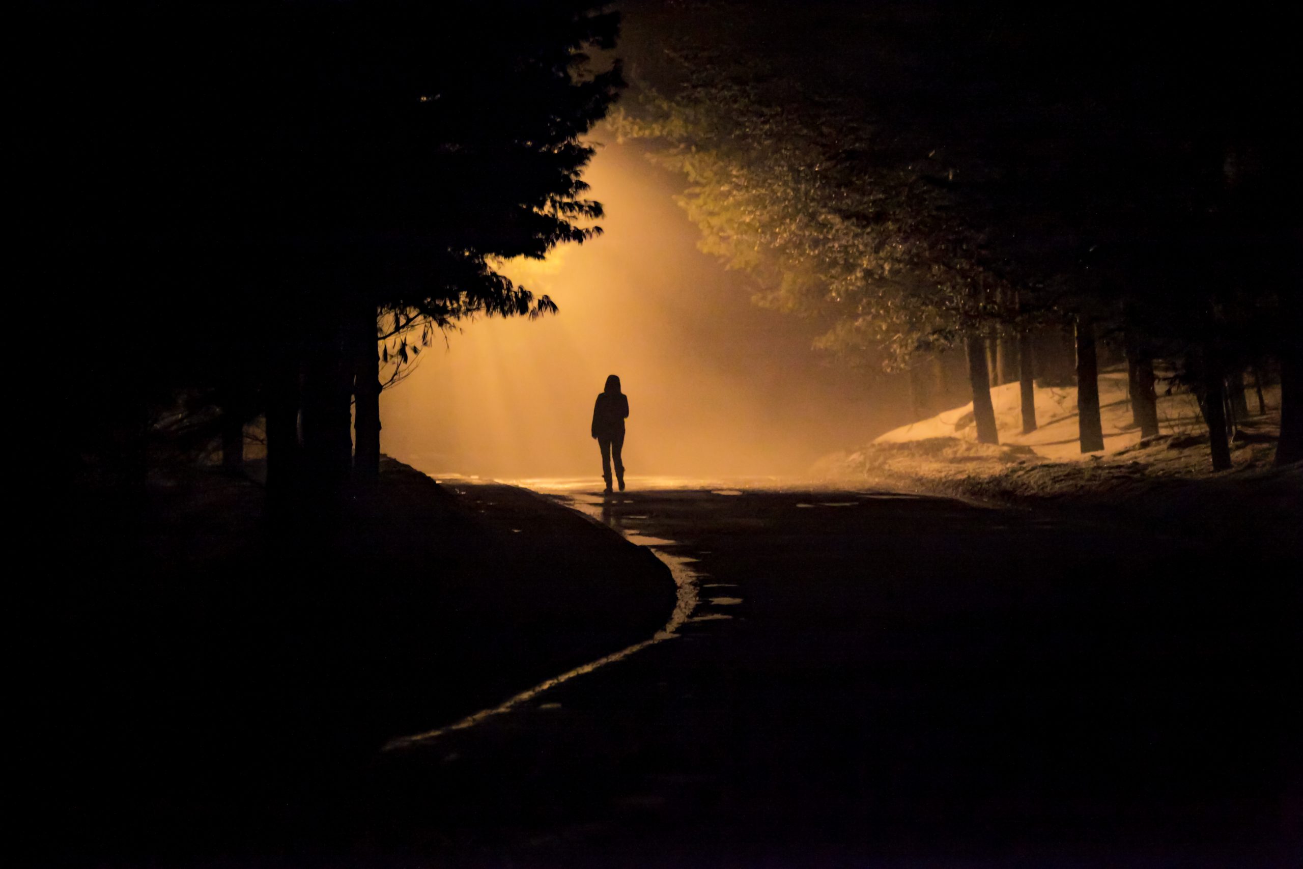 My Primal Chase