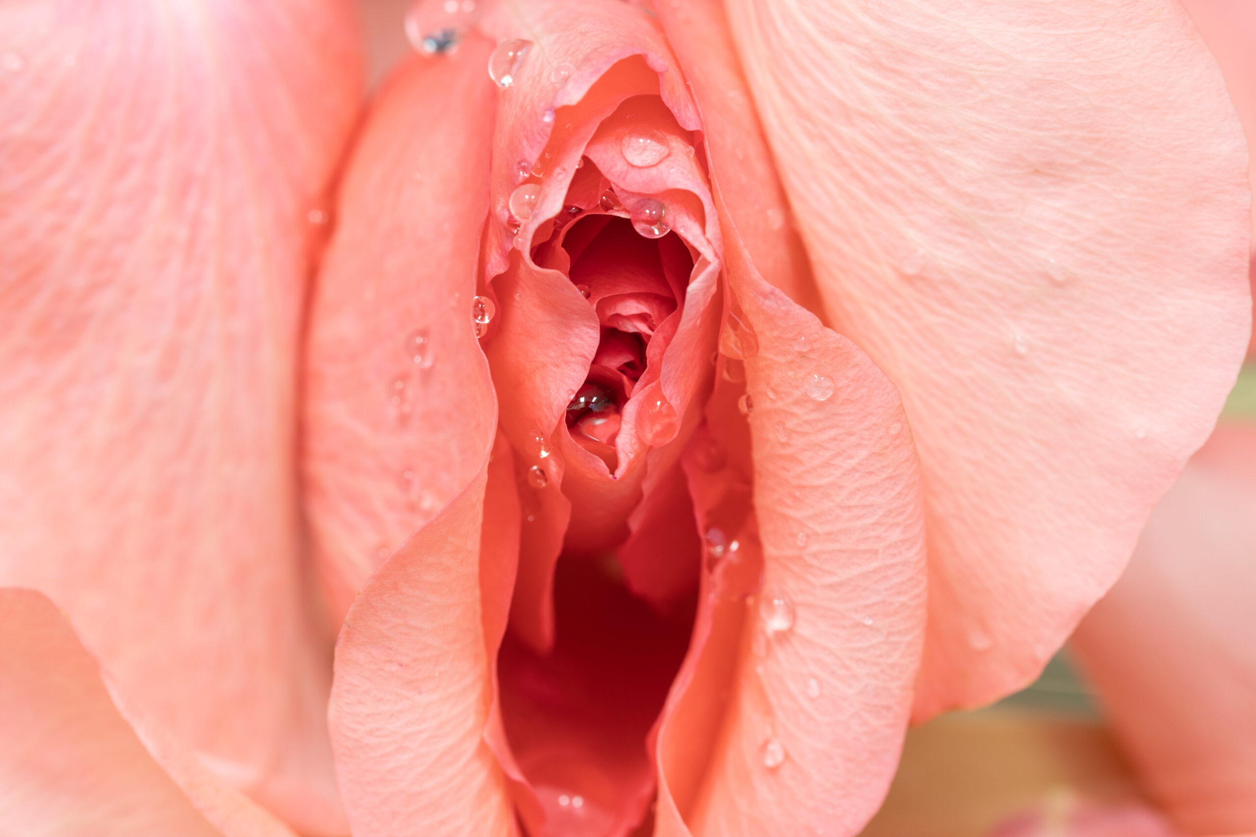 Finger Fuckig Fantasy