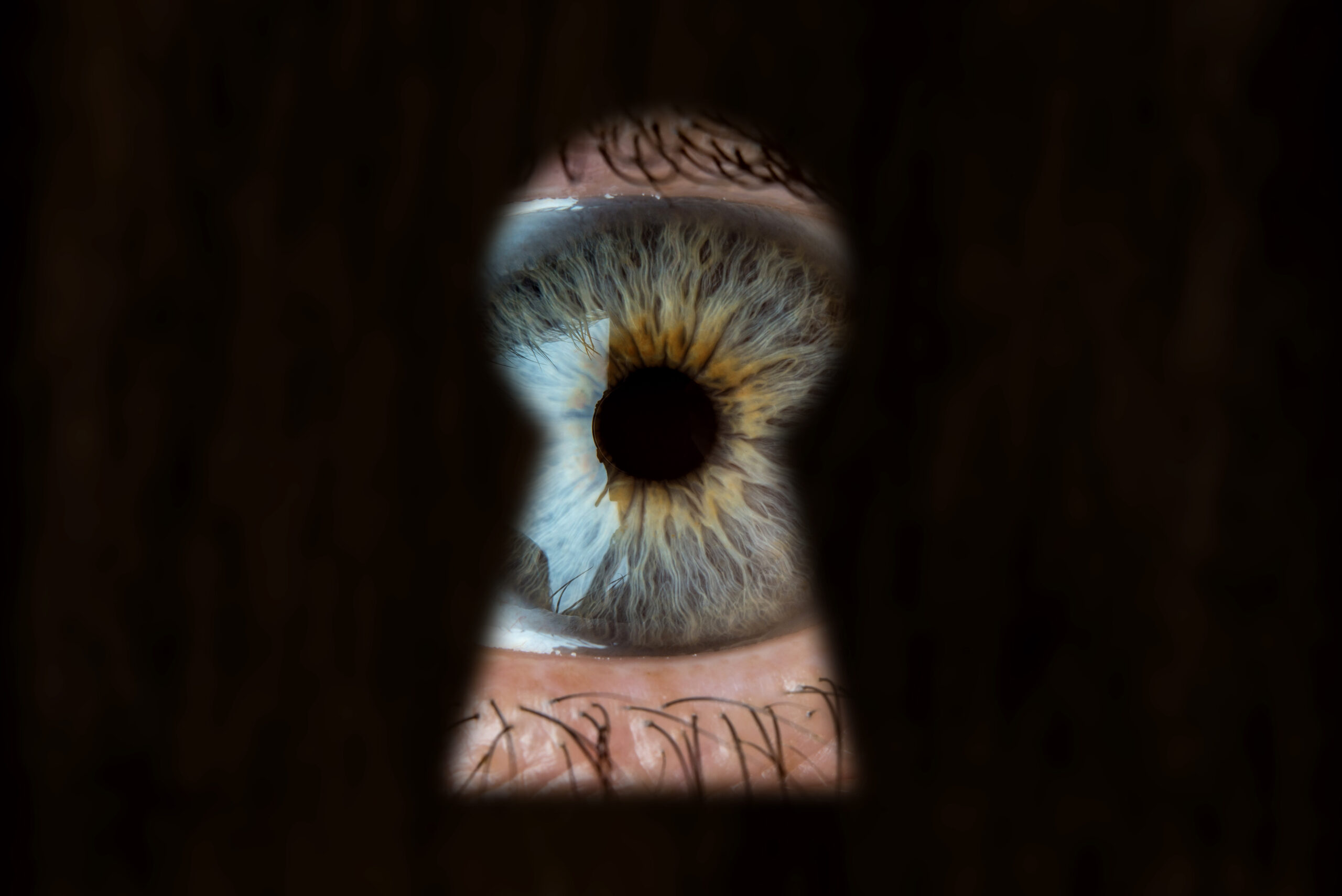closeted voyeur