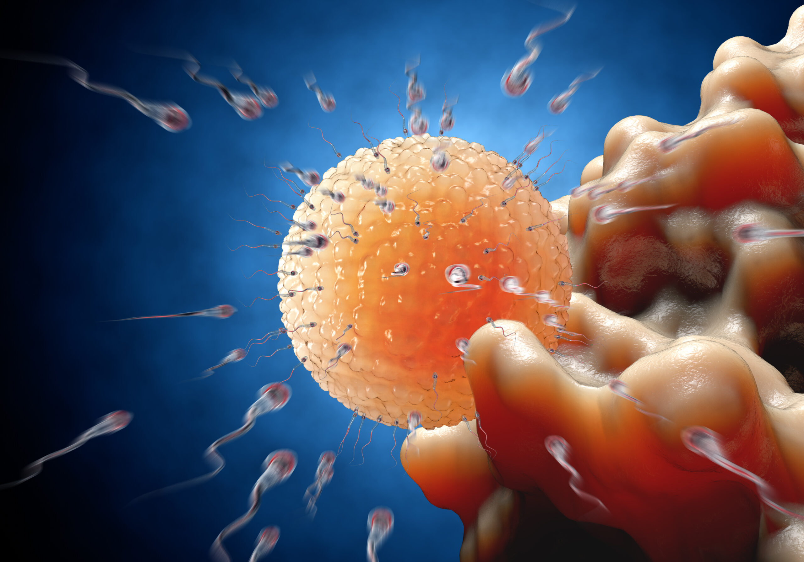 impregnation sex