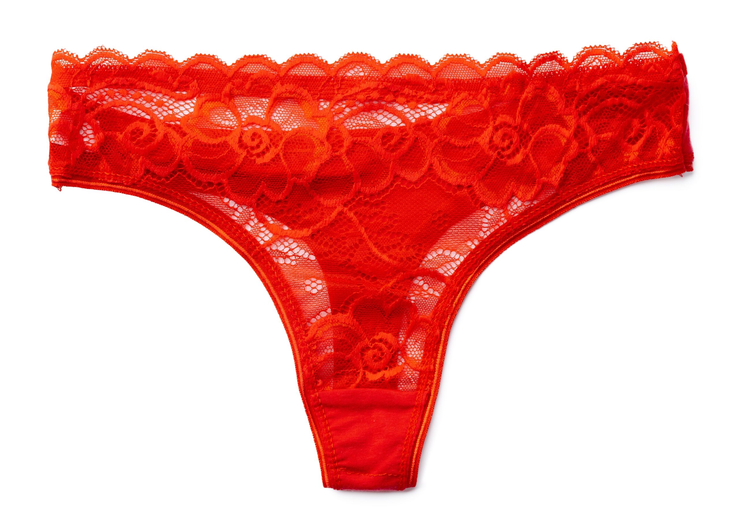 Dirty Panty Thief