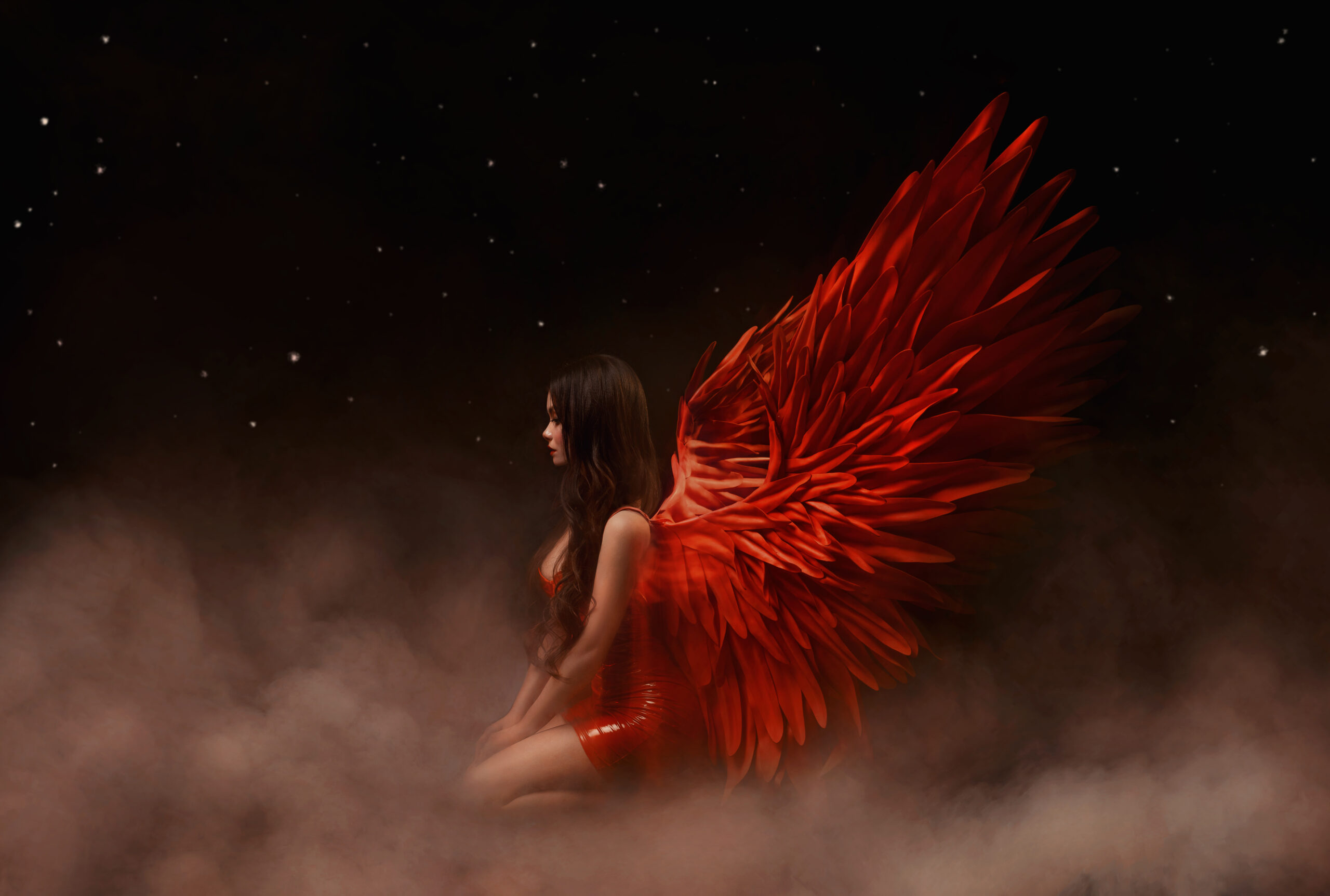 Phoenix Of Desire
